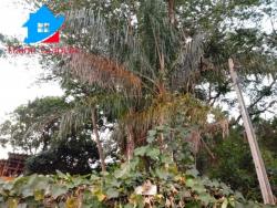 Chácara para Venda em Vinhedo - 2