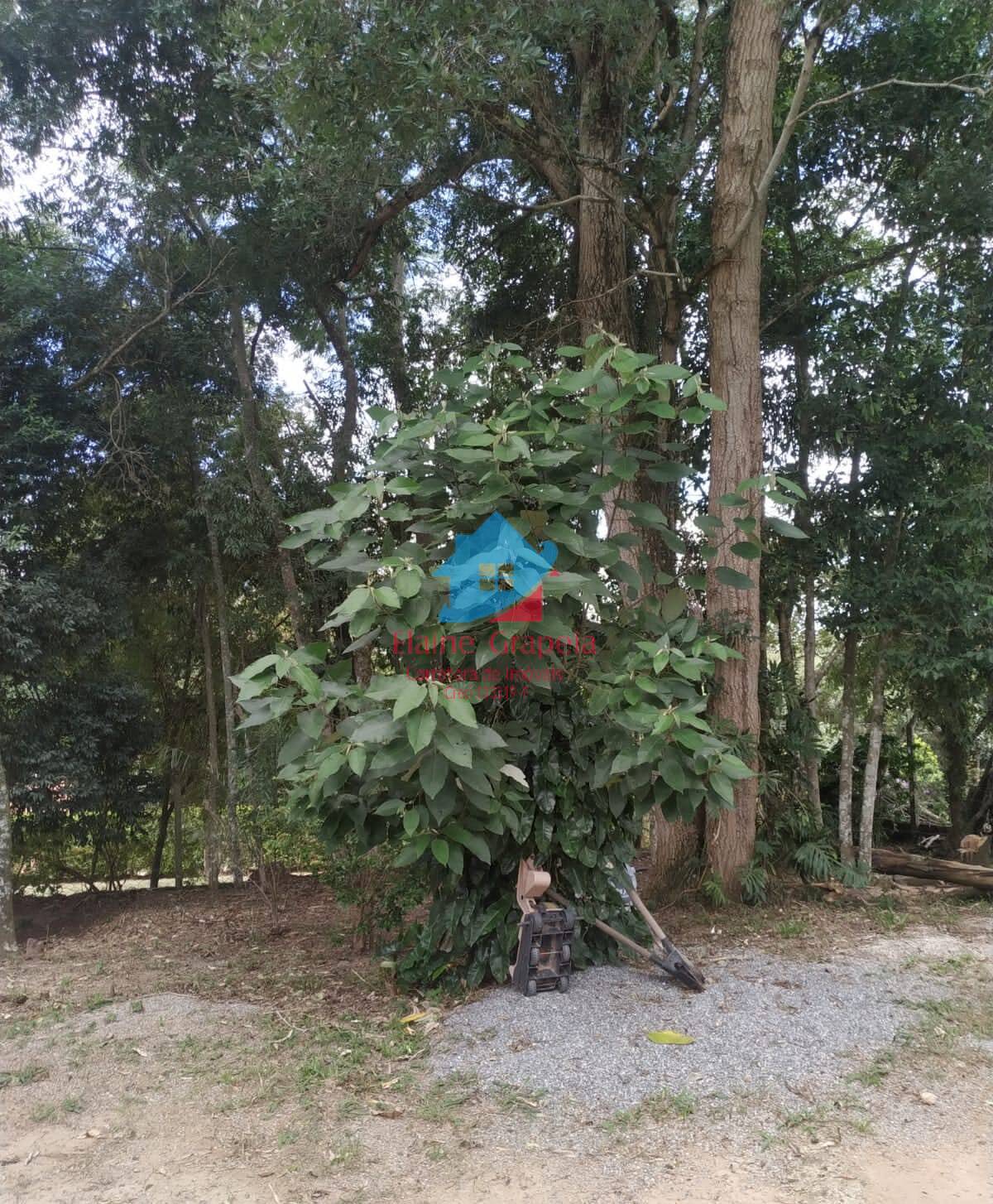 Casa, 2 quartos, 75 m² - Foto 14